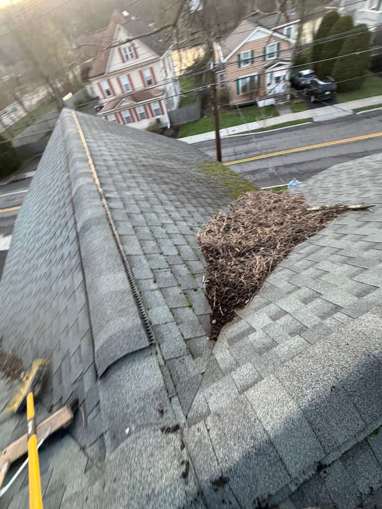 Roof Debris Cleanup